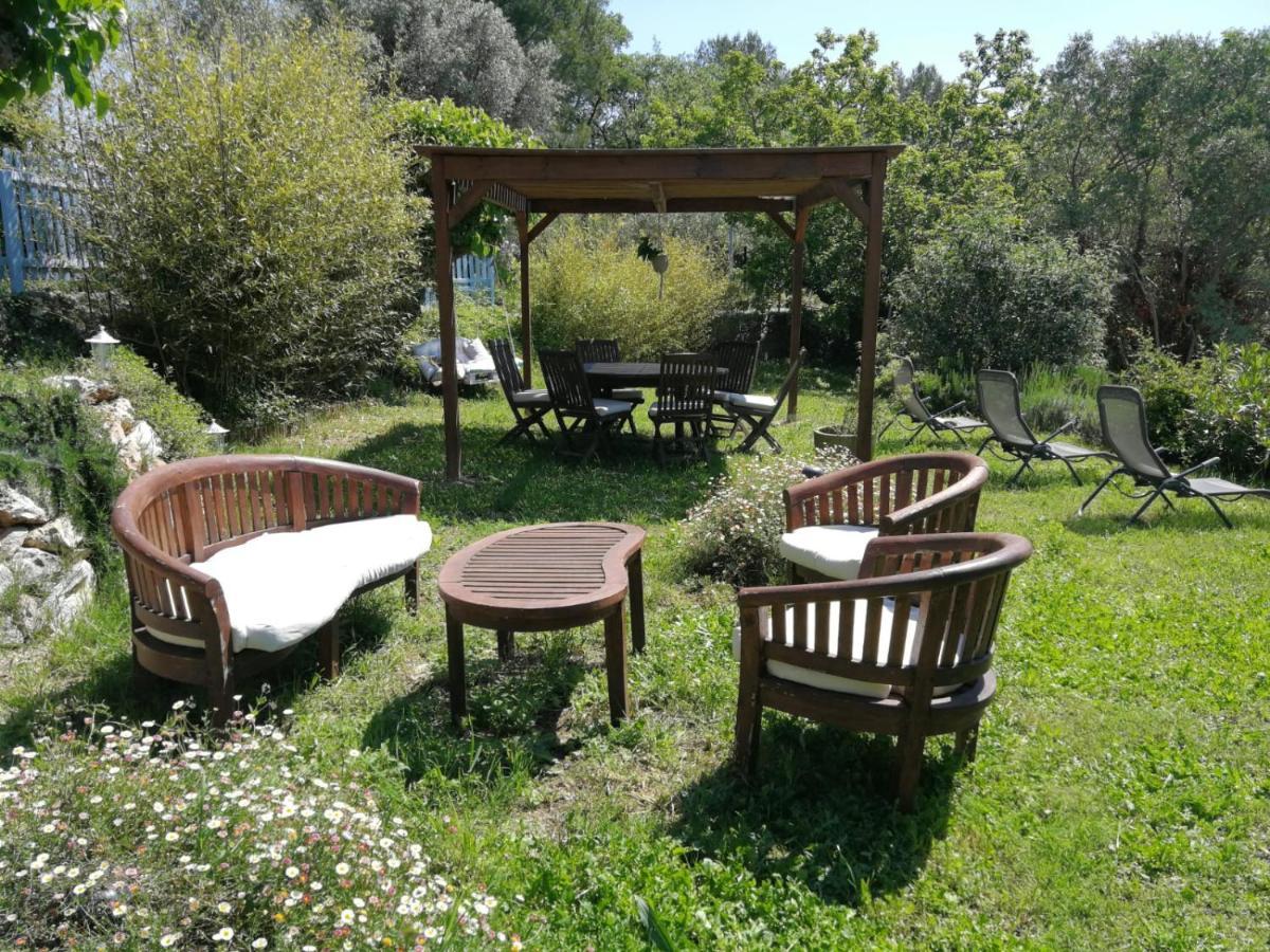 Bastide Provencale Les Muriers D'Engaspaty Seillans Dış mekan fotoğraf