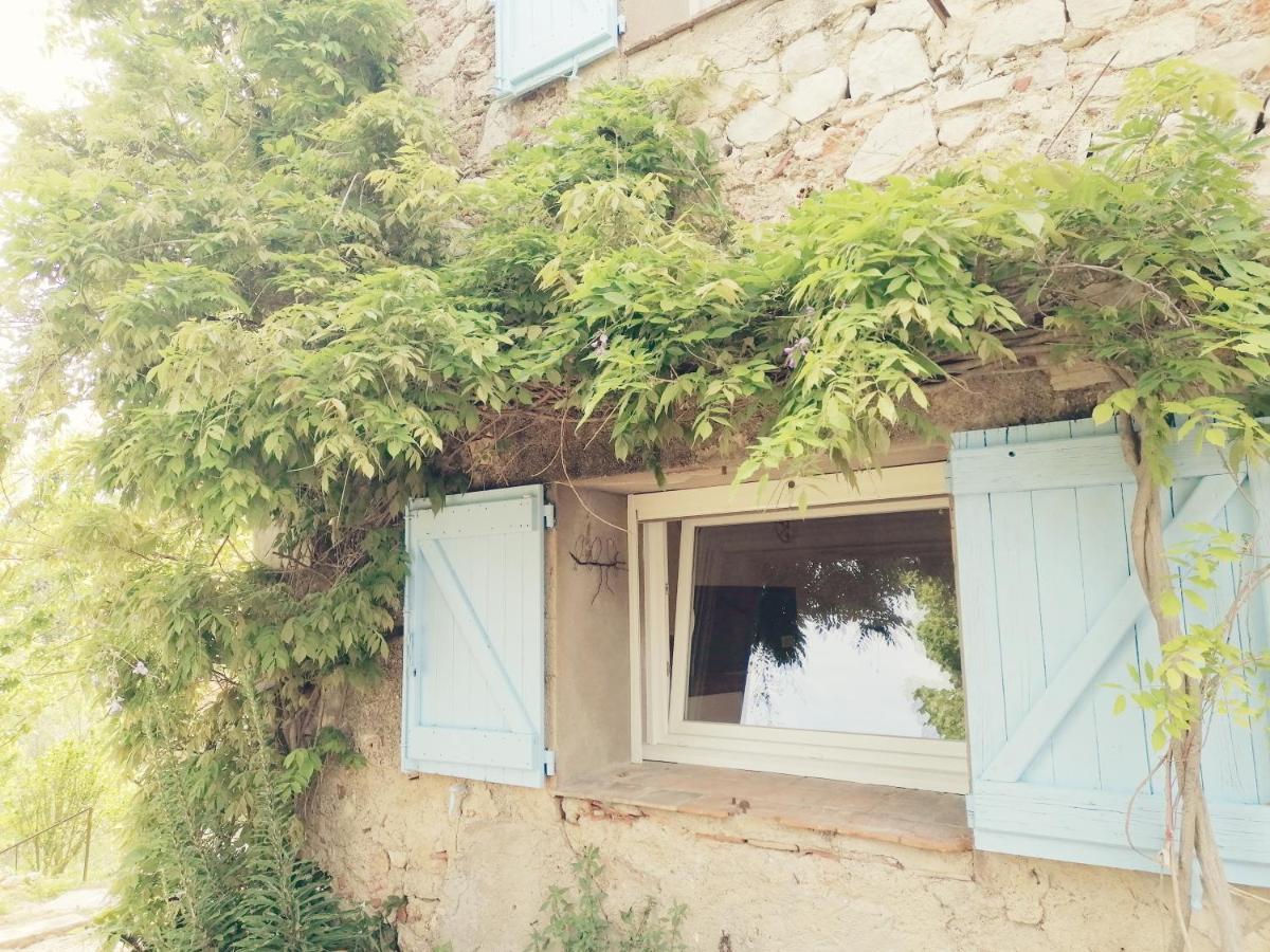 Bastide Provencale Les Muriers D'Engaspaty Seillans Dış mekan fotoğraf