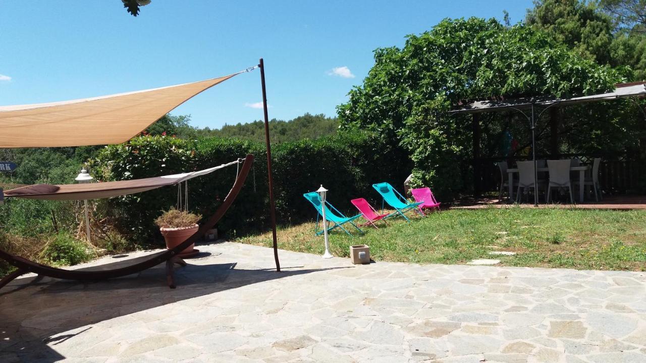 Bastide Provencale Les Muriers D'Engaspaty Seillans Dış mekan fotoğraf