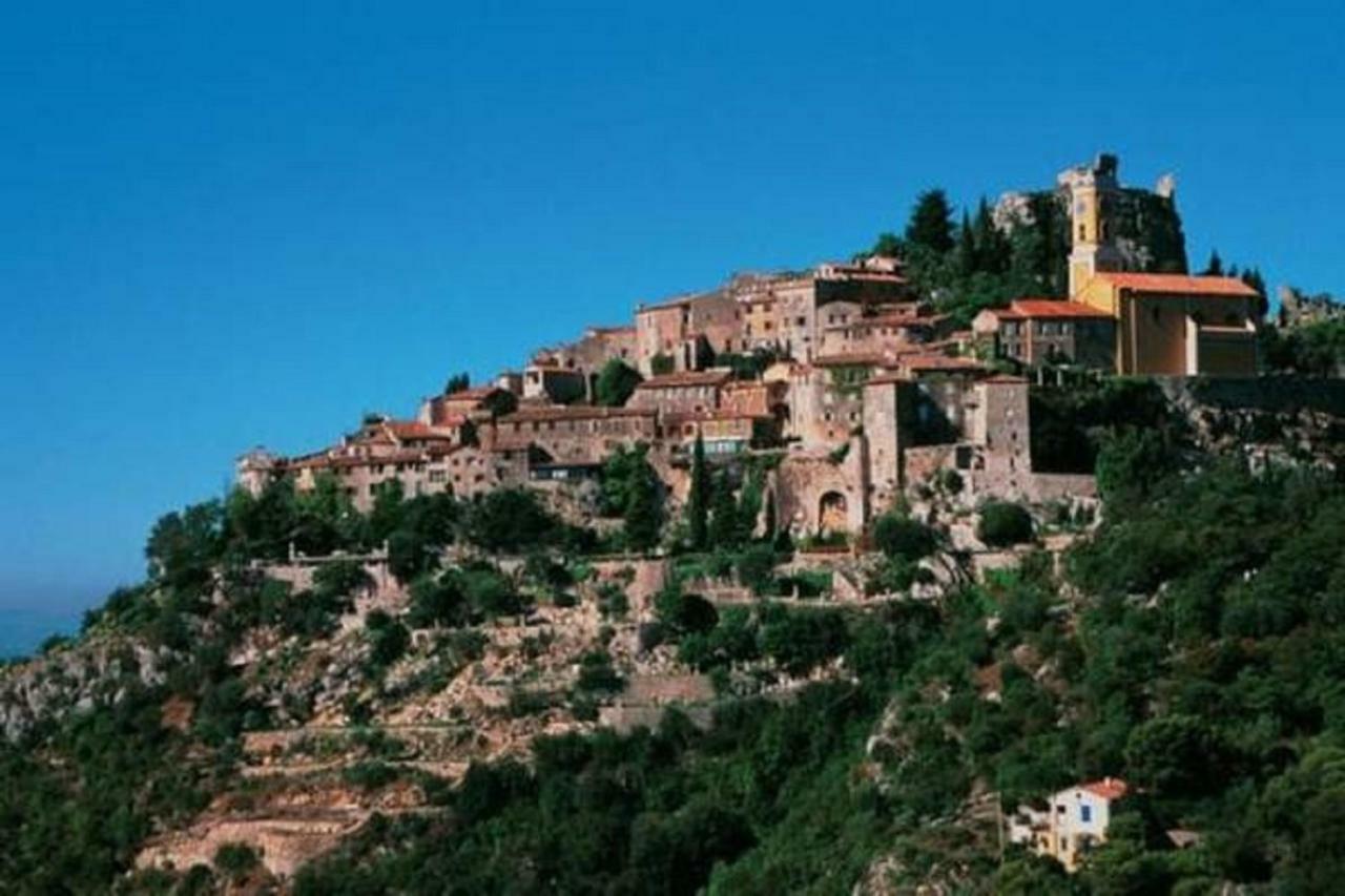 Bastide Provencale Les Muriers D'Engaspaty Seillans Dış mekan fotoğraf
